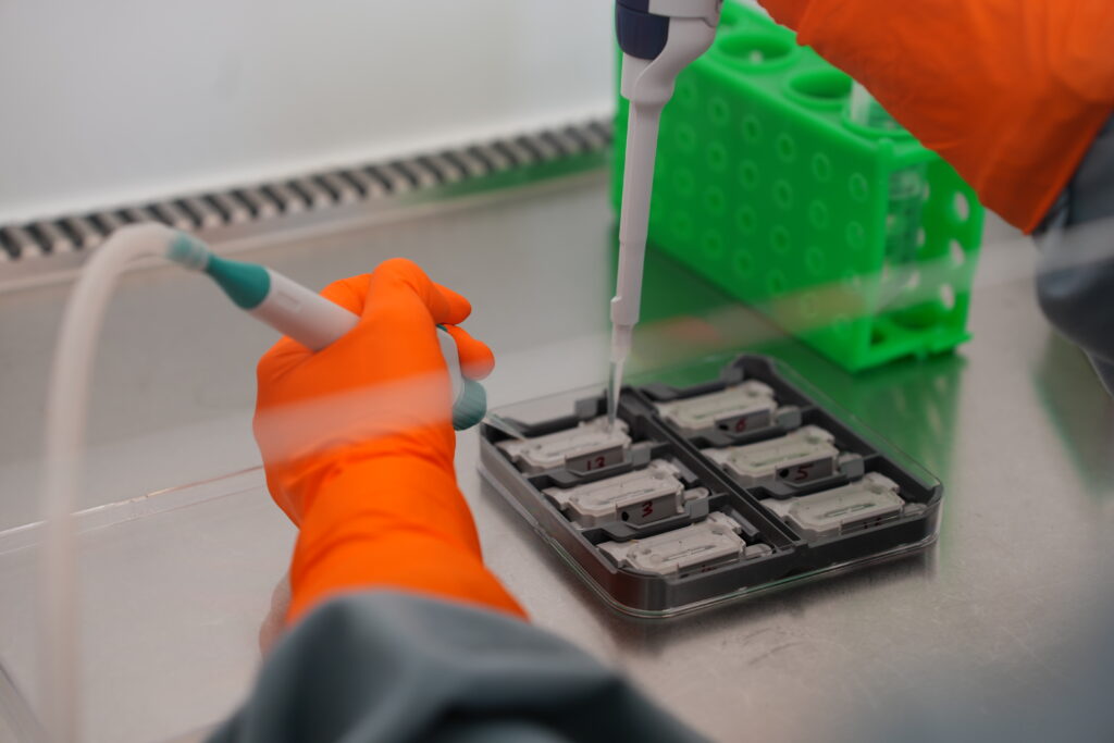 Gloved hands holding pipettes interact with the the miniature MPS system within a biosafety cabinet.